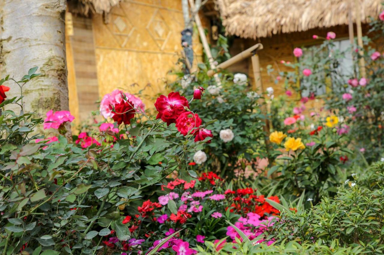 Hotel Tam Coc Wonderland 3*