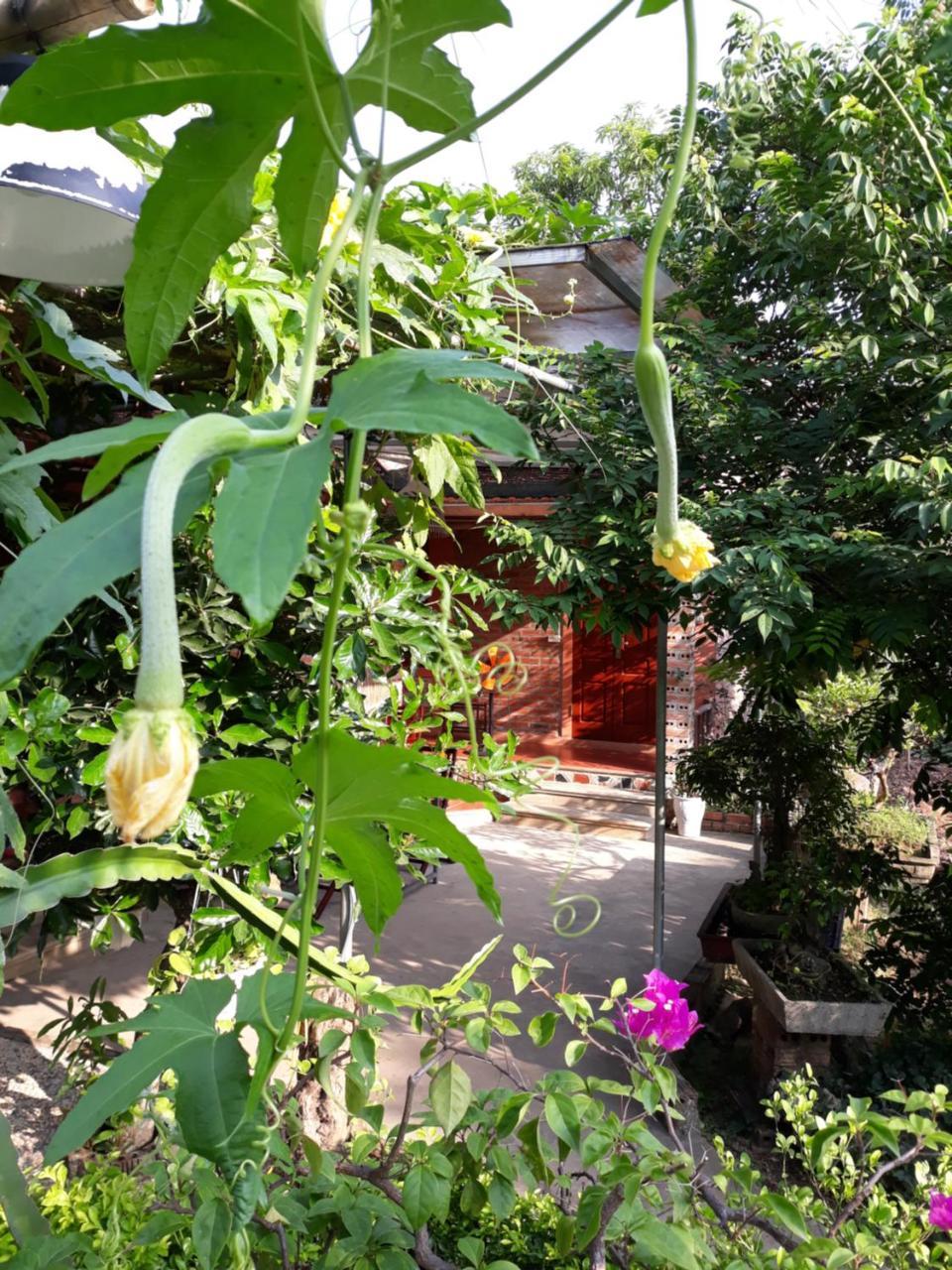 Homestay An Phu