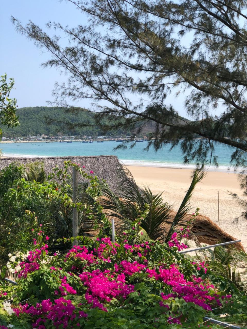 Timothe Bungalow Hotel Song Cau