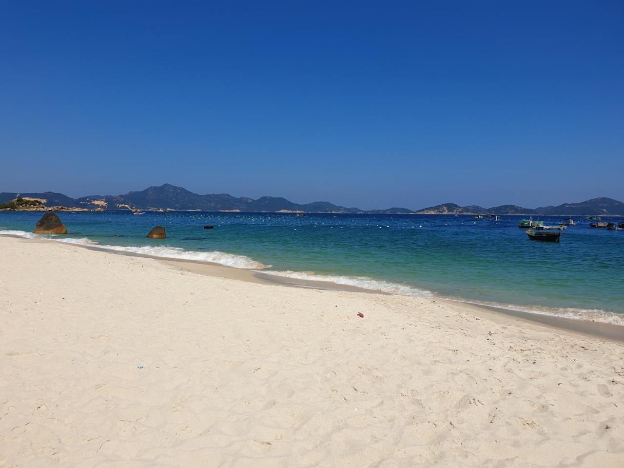 Dao Hoa Vang
