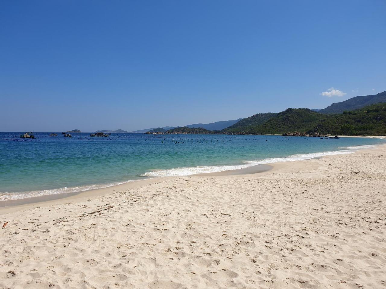 Dao Hoa Vang Khách sạn Cam Ranh