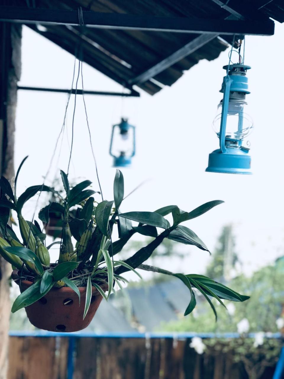 Fansipan Terrace Cafe And * Sa Pa