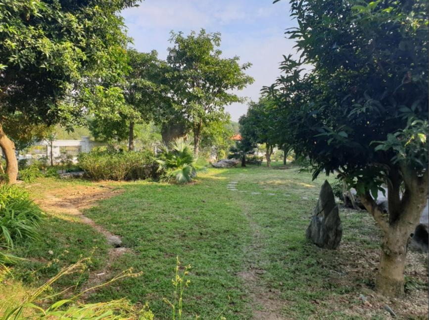 Ngoc Linh Eco Garden