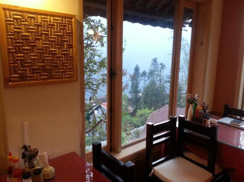 Cat Cat View 3*