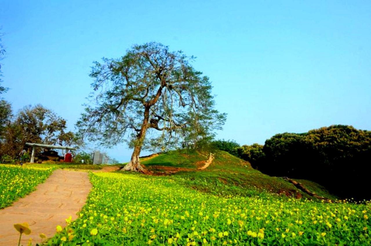 Nha Nghi Tam Cuong *