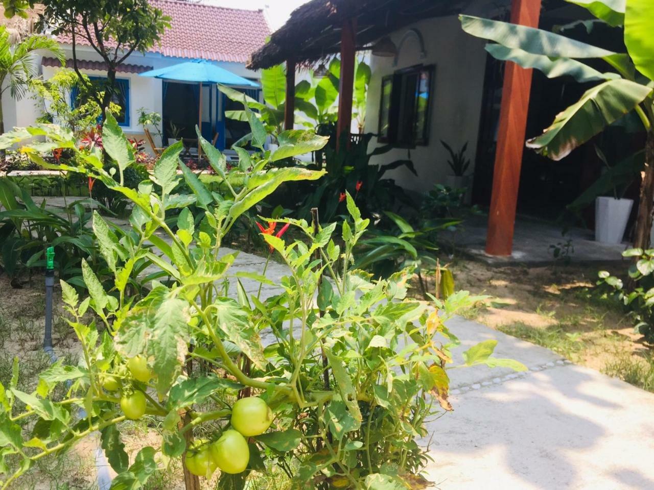 Hoi An Blue Seaside Bed & Breakfast Dien Ban