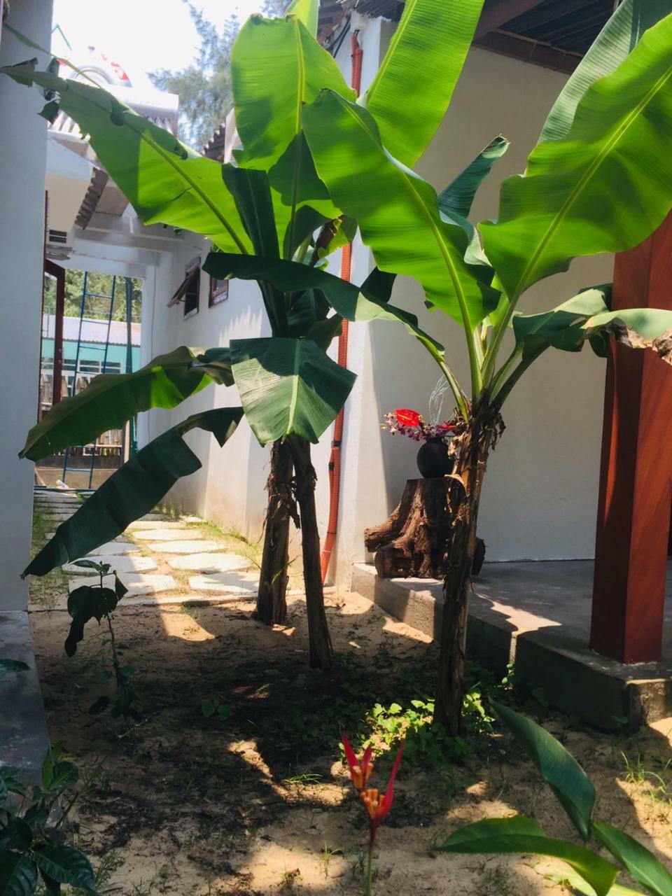 Hoi An Blue Seaside Bed & Breakfast