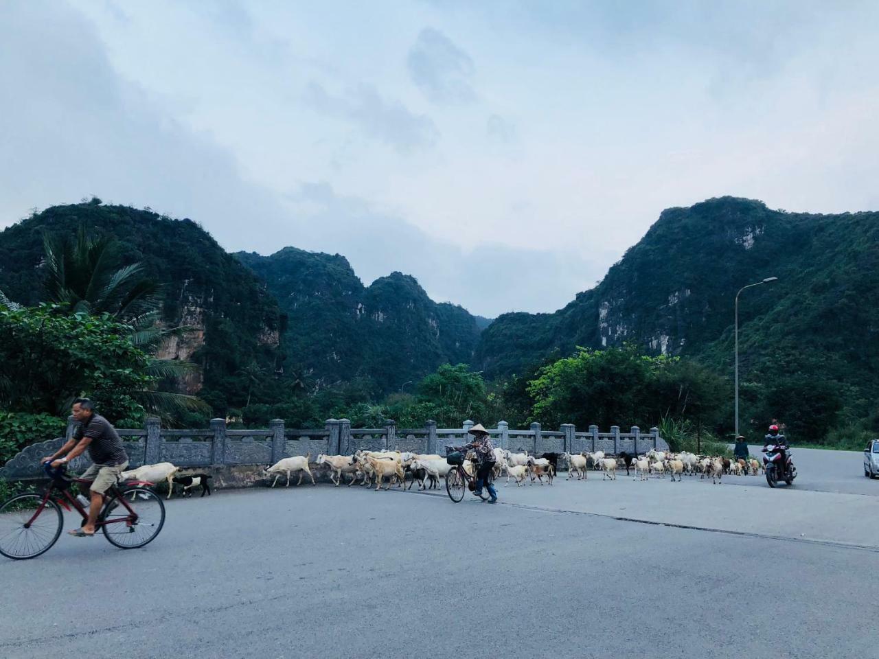 Homestay Brother's Ninh Binh