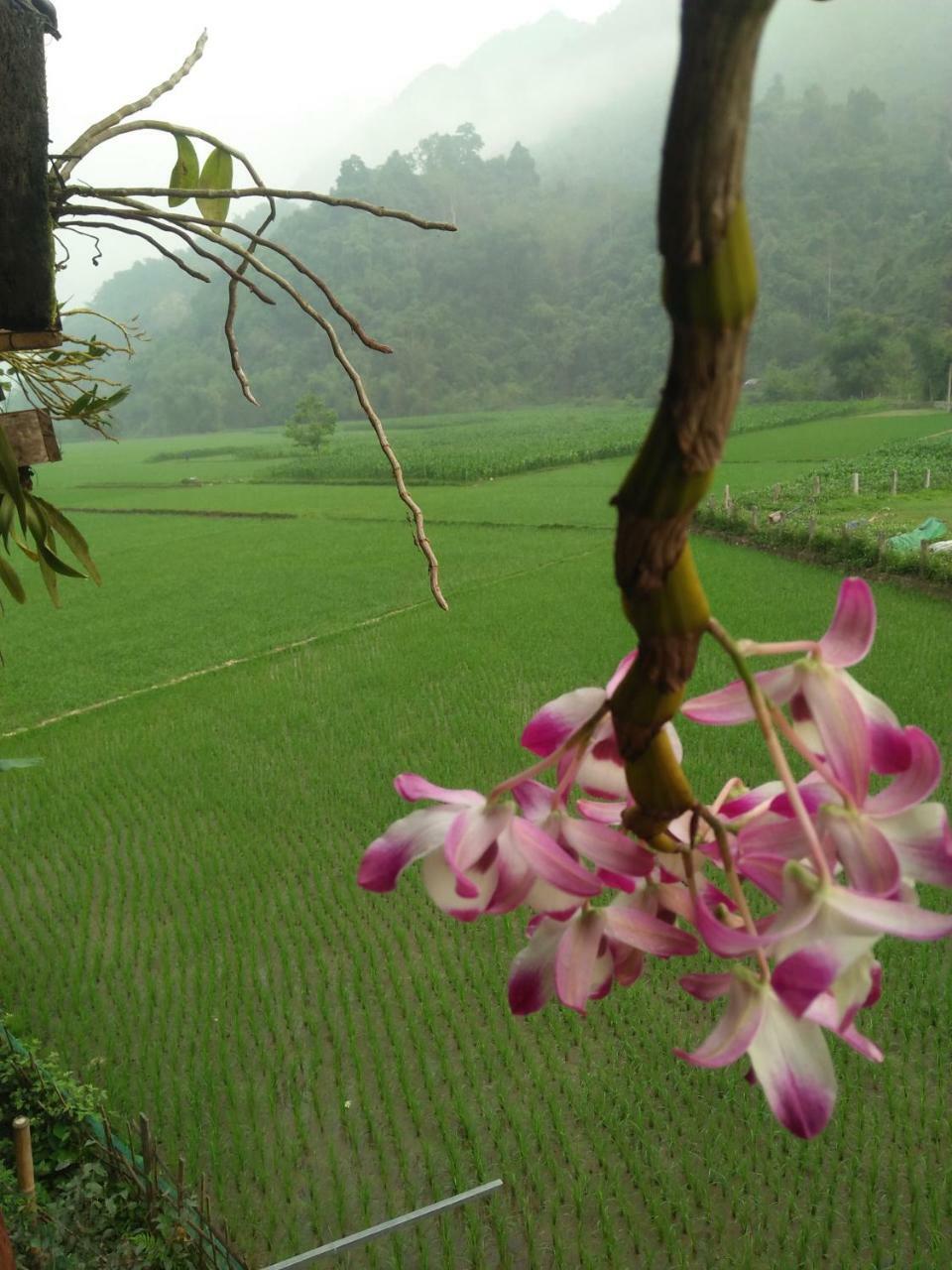 Lodge Tran Xuan Ba Be