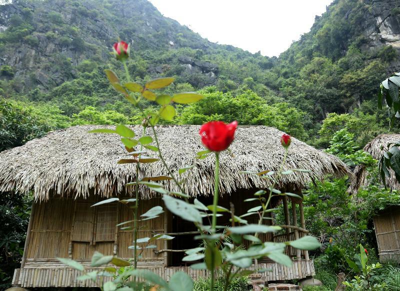 Hotel Buffalo Eco Garden 2*