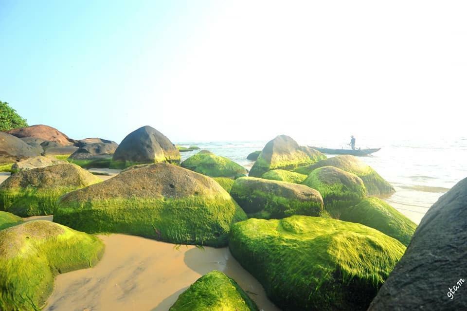 Canh Duong Lang Co