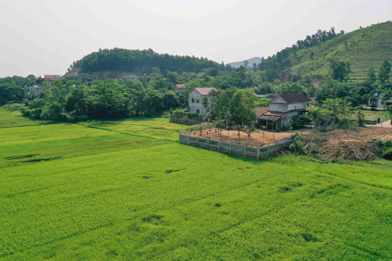 Rice Field *