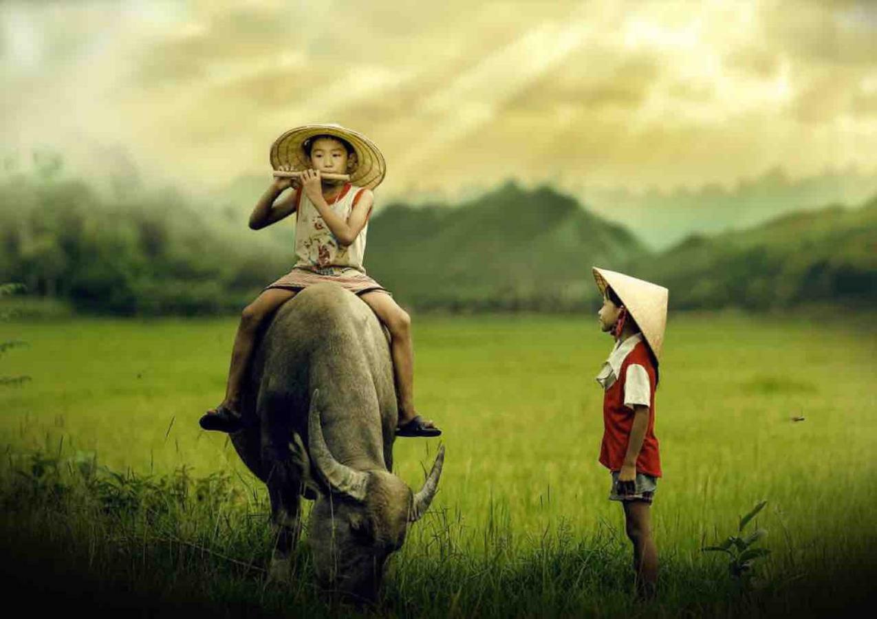 Village 1990 Ở trọ *