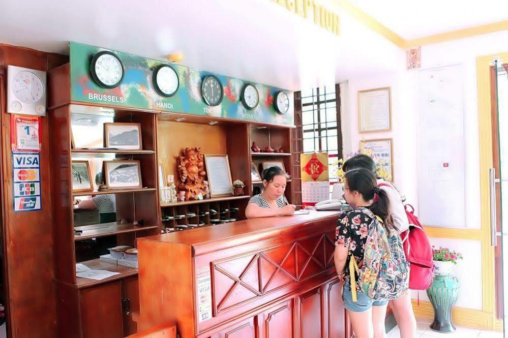 Cay Thong Tam Dao