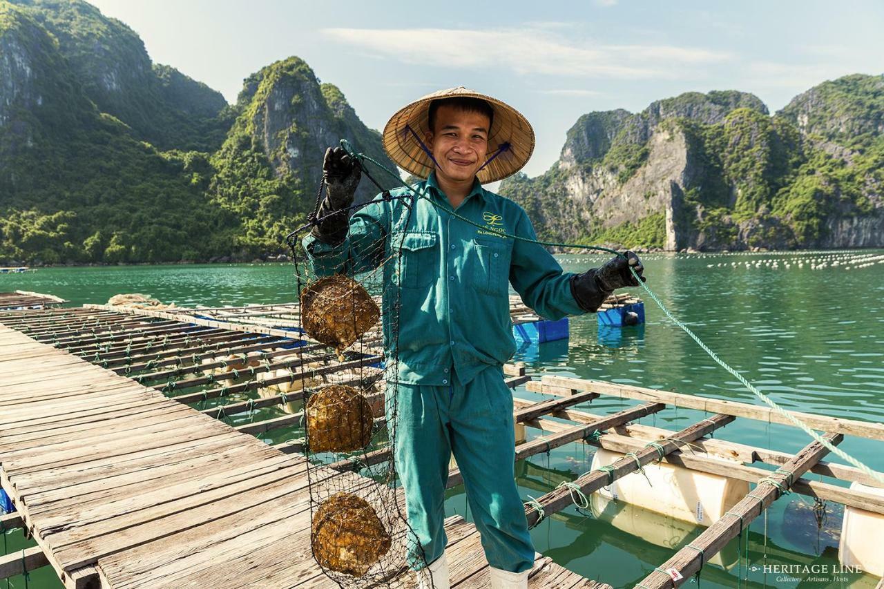 Heritage Line Violet Cruise - Halong Bay & Lan Ha Bay  5*
