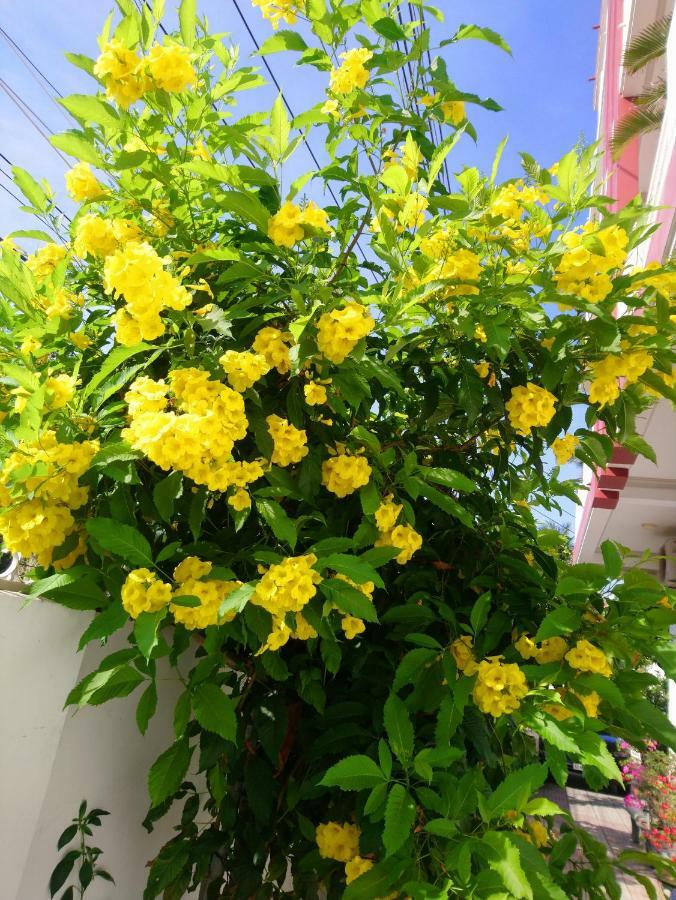 Hung Phuc Mui Ne Hotel 2*
