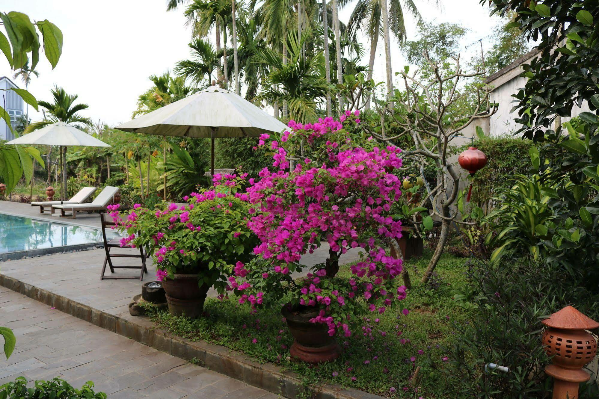 Areca Hội An