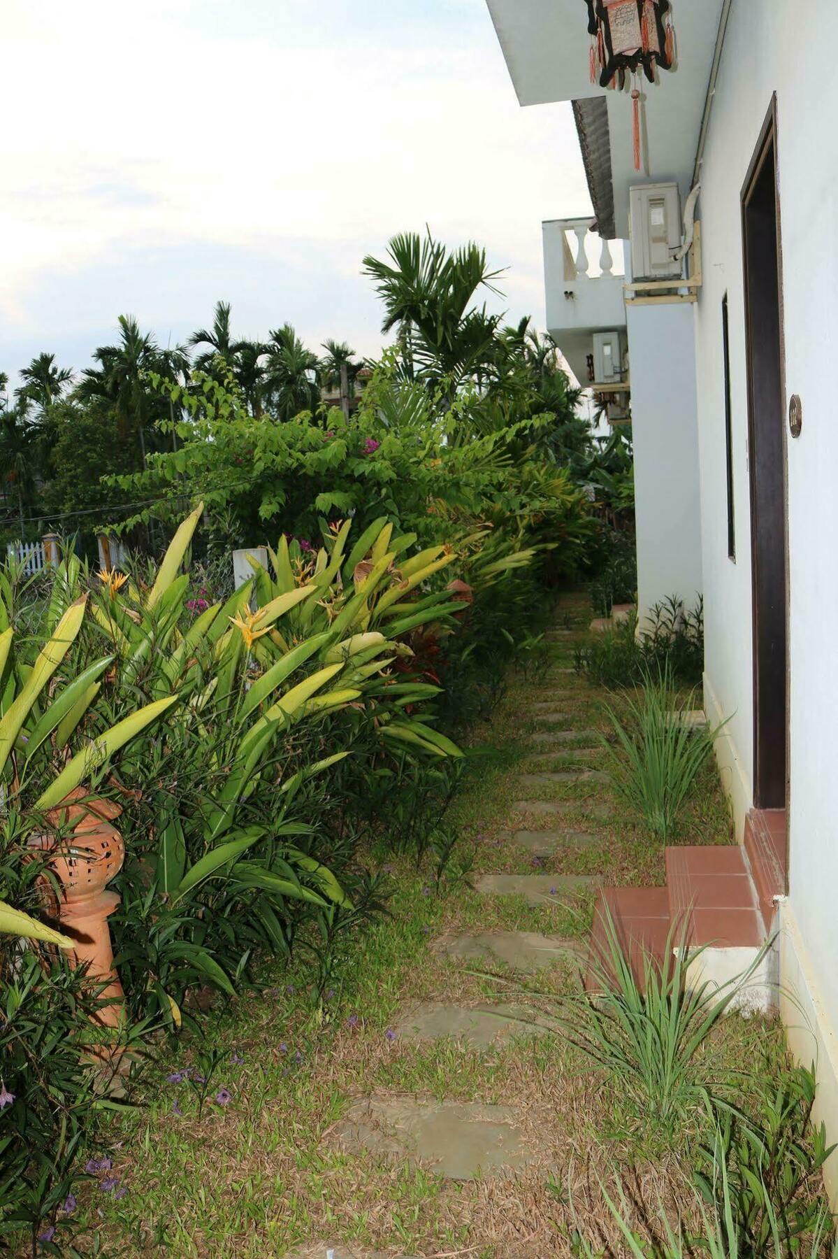 Areca Hội An