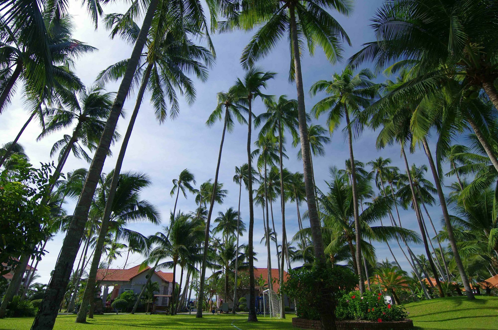 Muine Century & Resort 4*