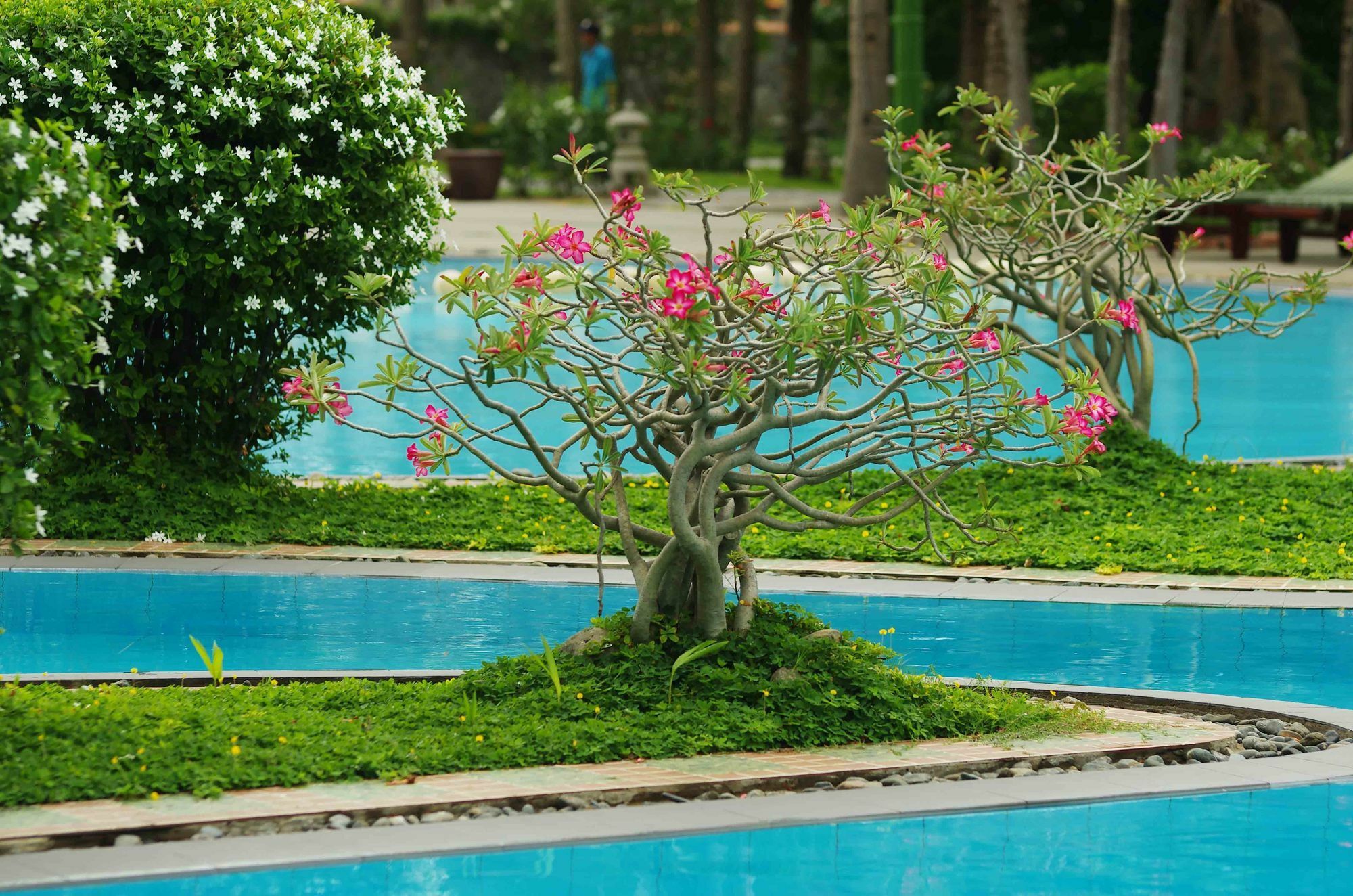 Muine Century & Resort Mũi Né