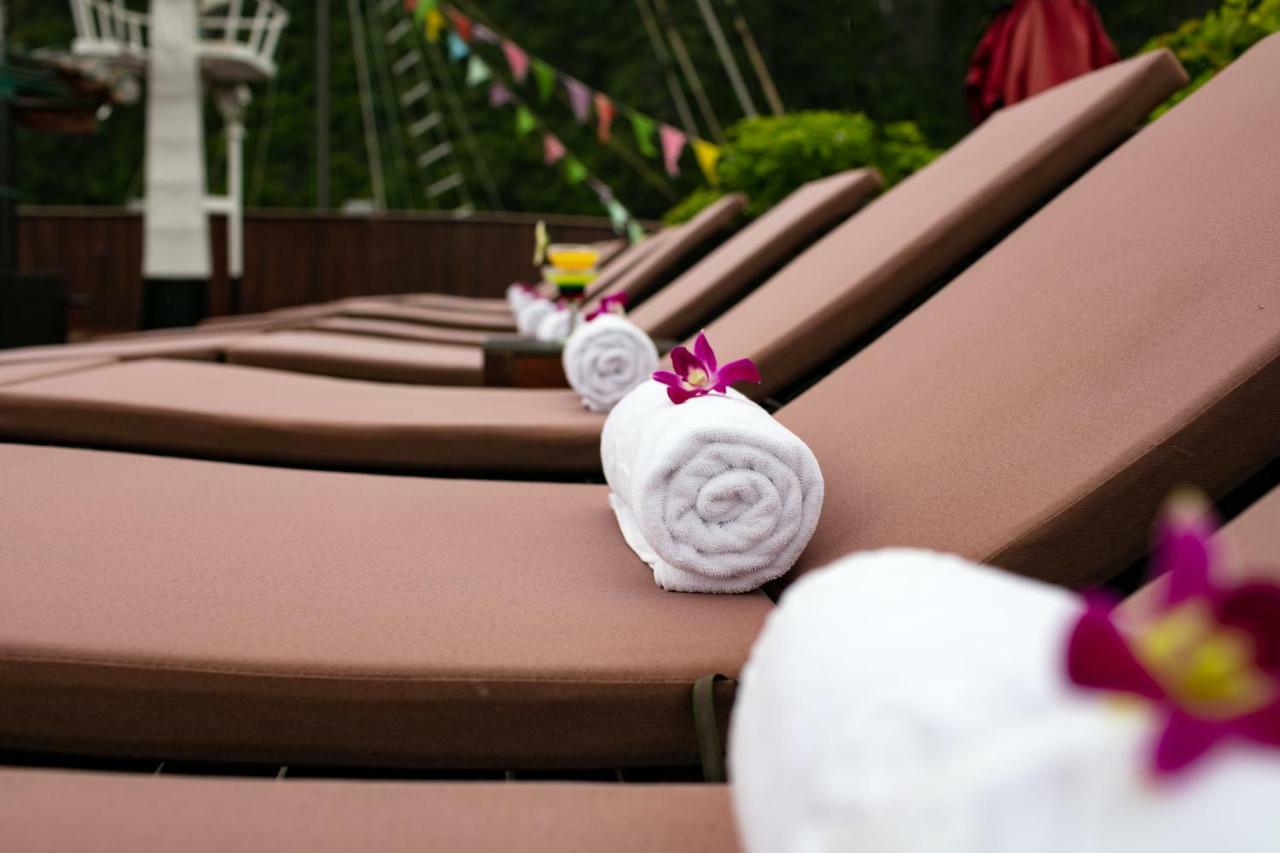 Alisa Premier Cruise 