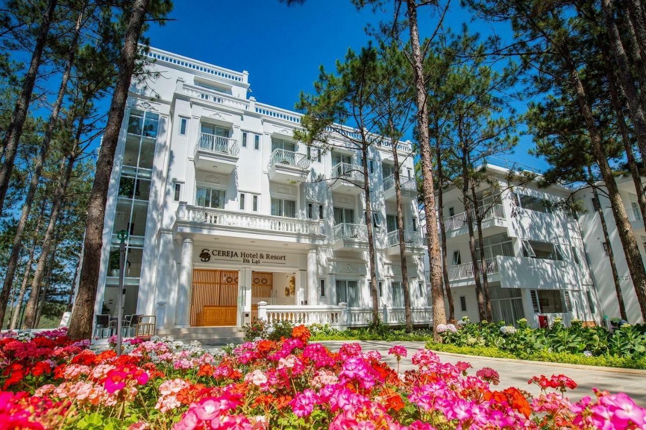 Cereja & Resort 4*