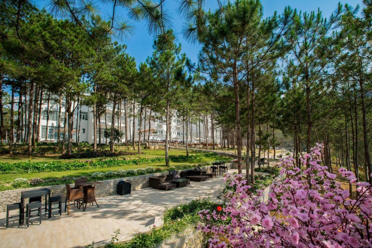 Cereja & Resort 4*