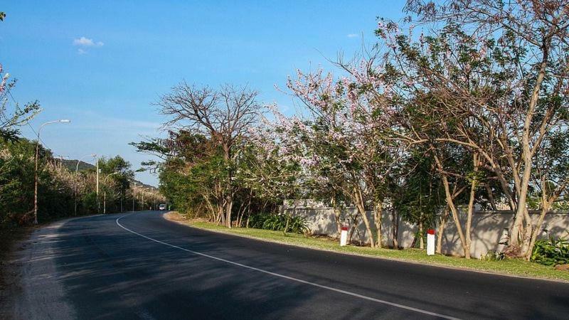 Khách sạn Quoc An *