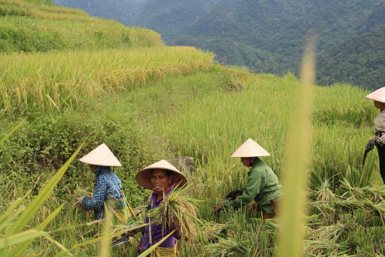 Pu Luong Ecolodge Lodge *