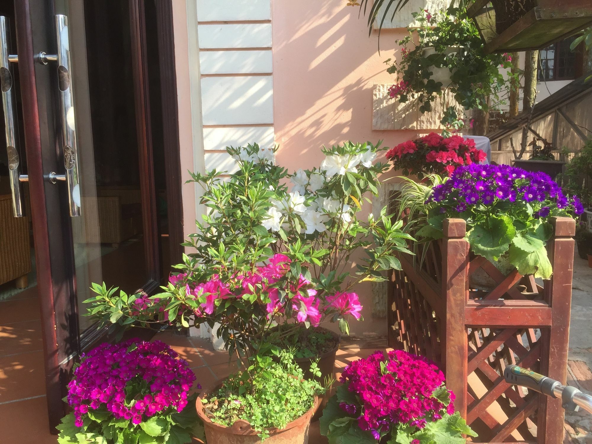 Hotel Thai Binh Sa Pa