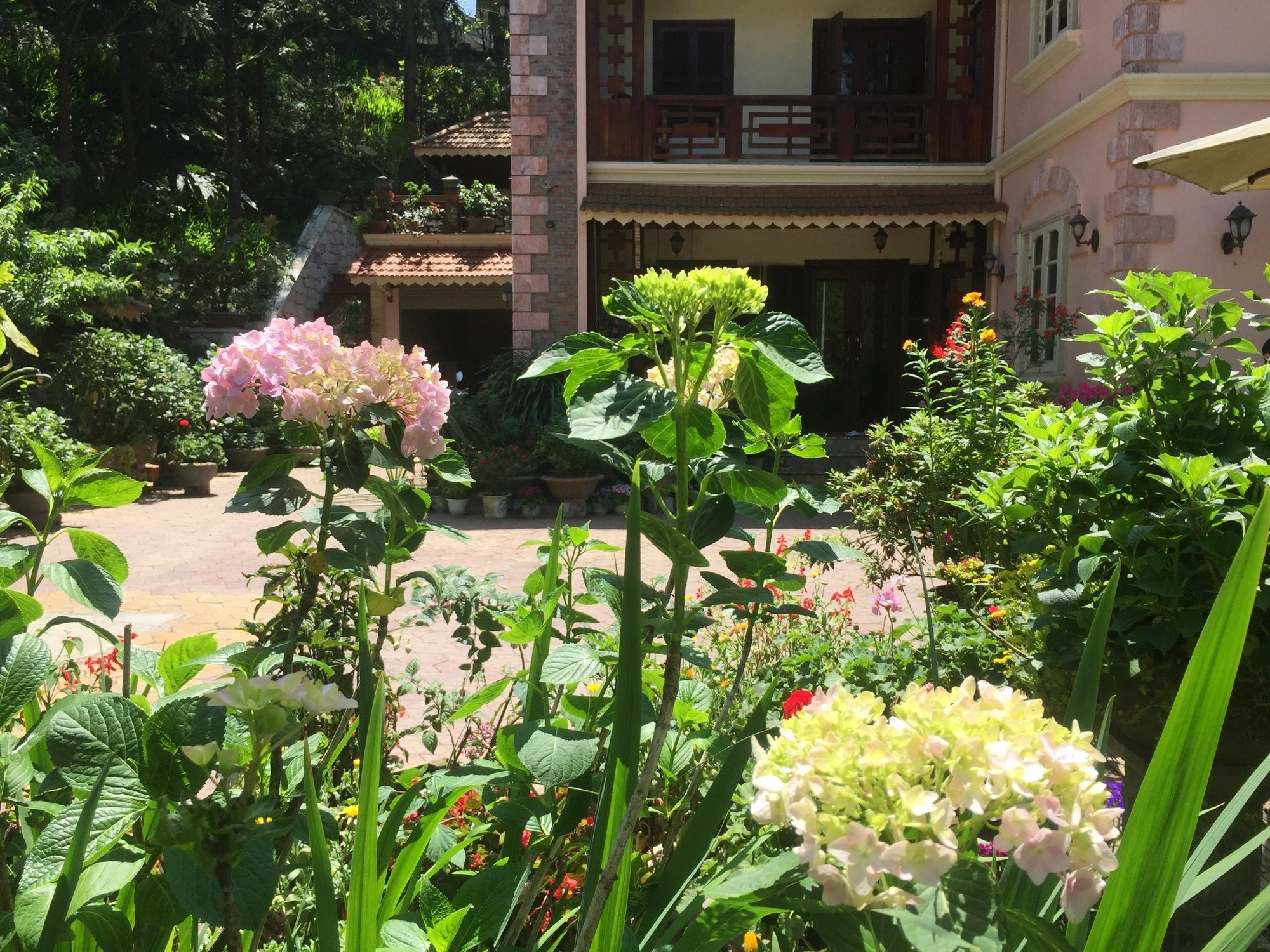 Garden