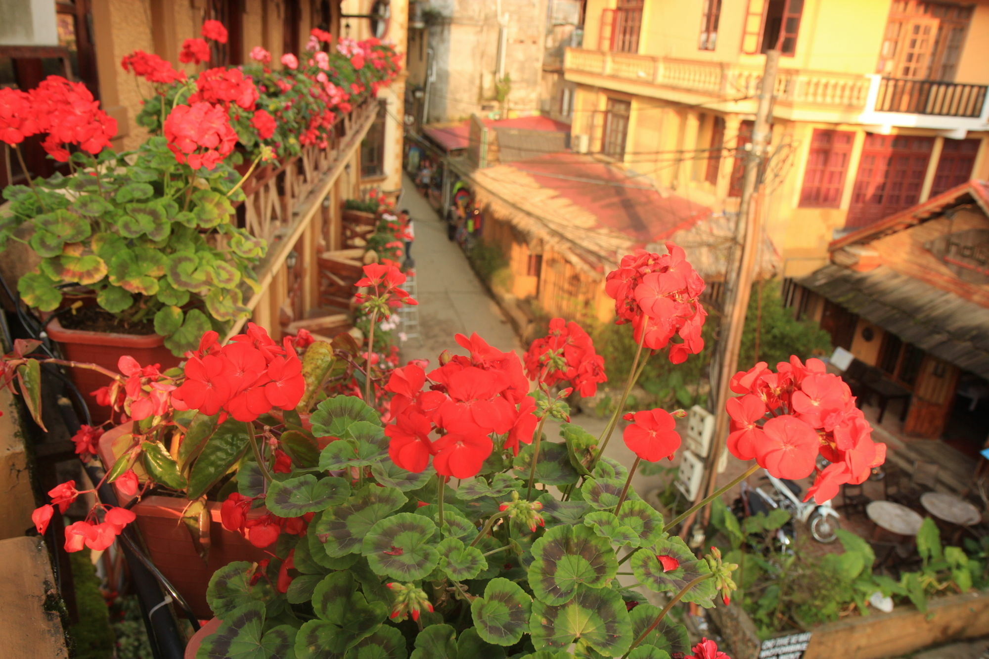Chau Long Khách sạn 4*