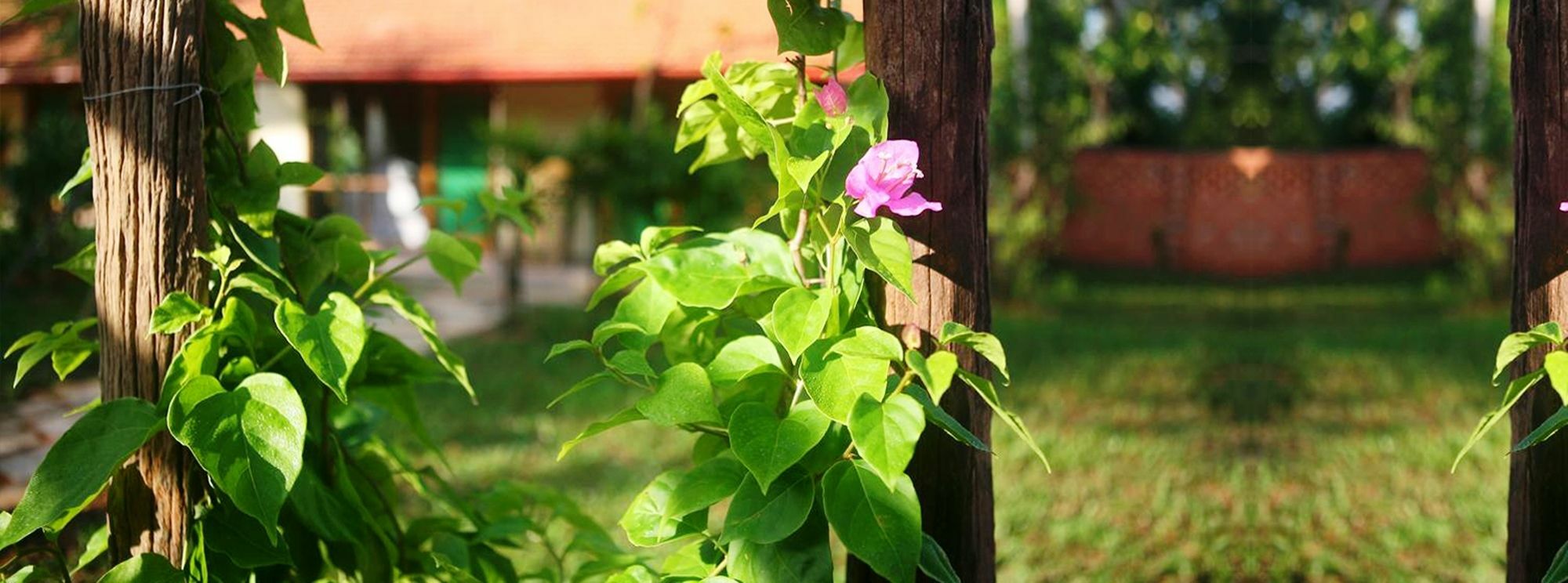 An Nhien Retreat With Yoga Daily & Access Resort 3*
