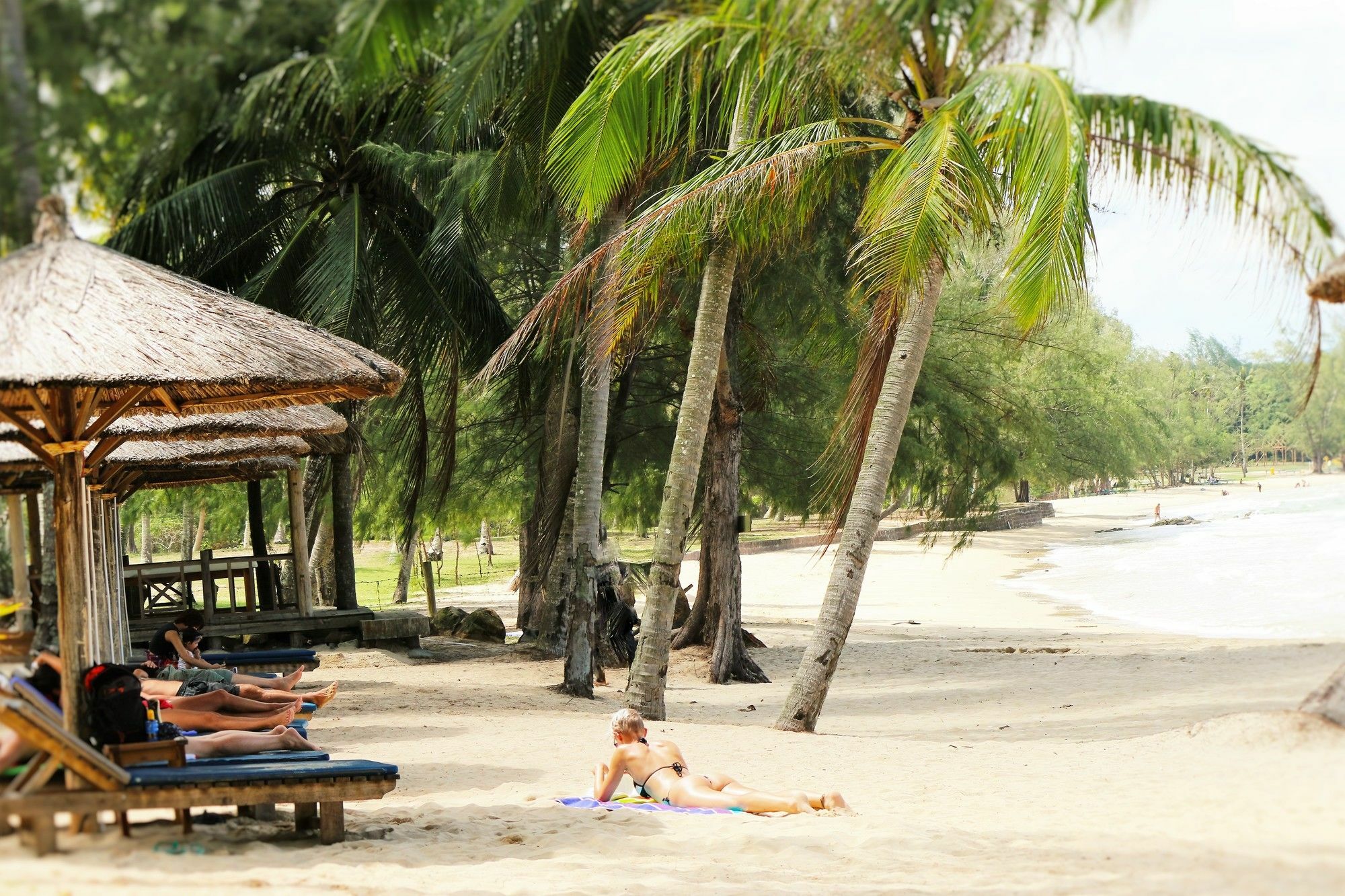 Resort White Lotus