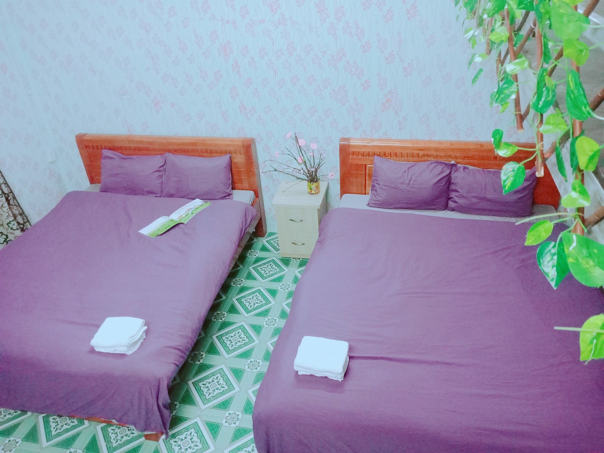 Bed & Breakfast Tatu 2*