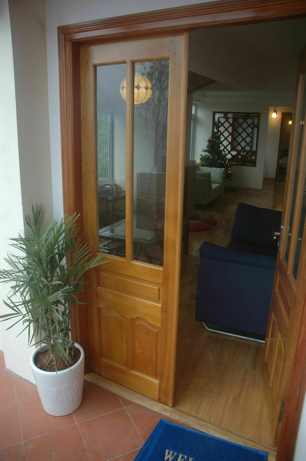 Cat Cat View 3*