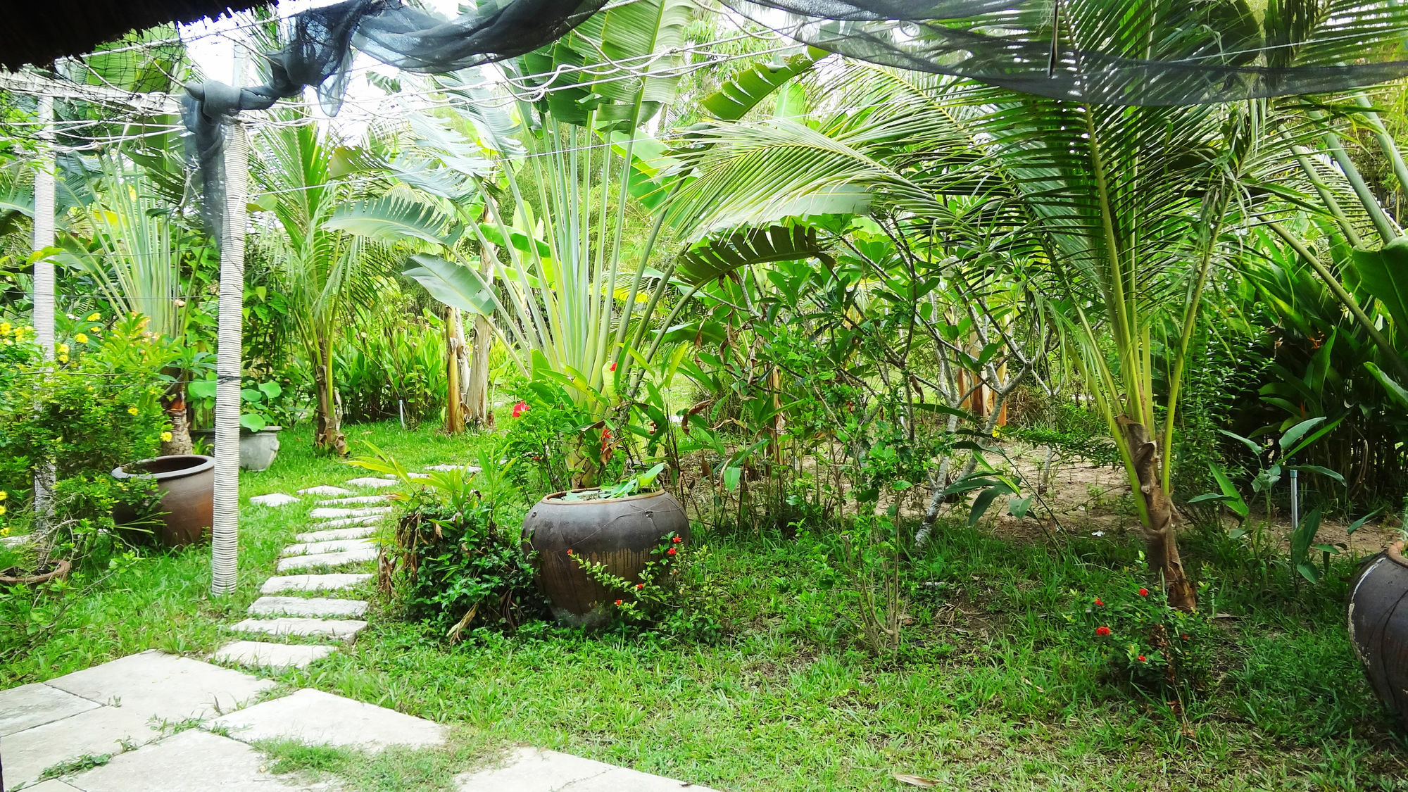 Dưỡng Mai Khách sạn 2*