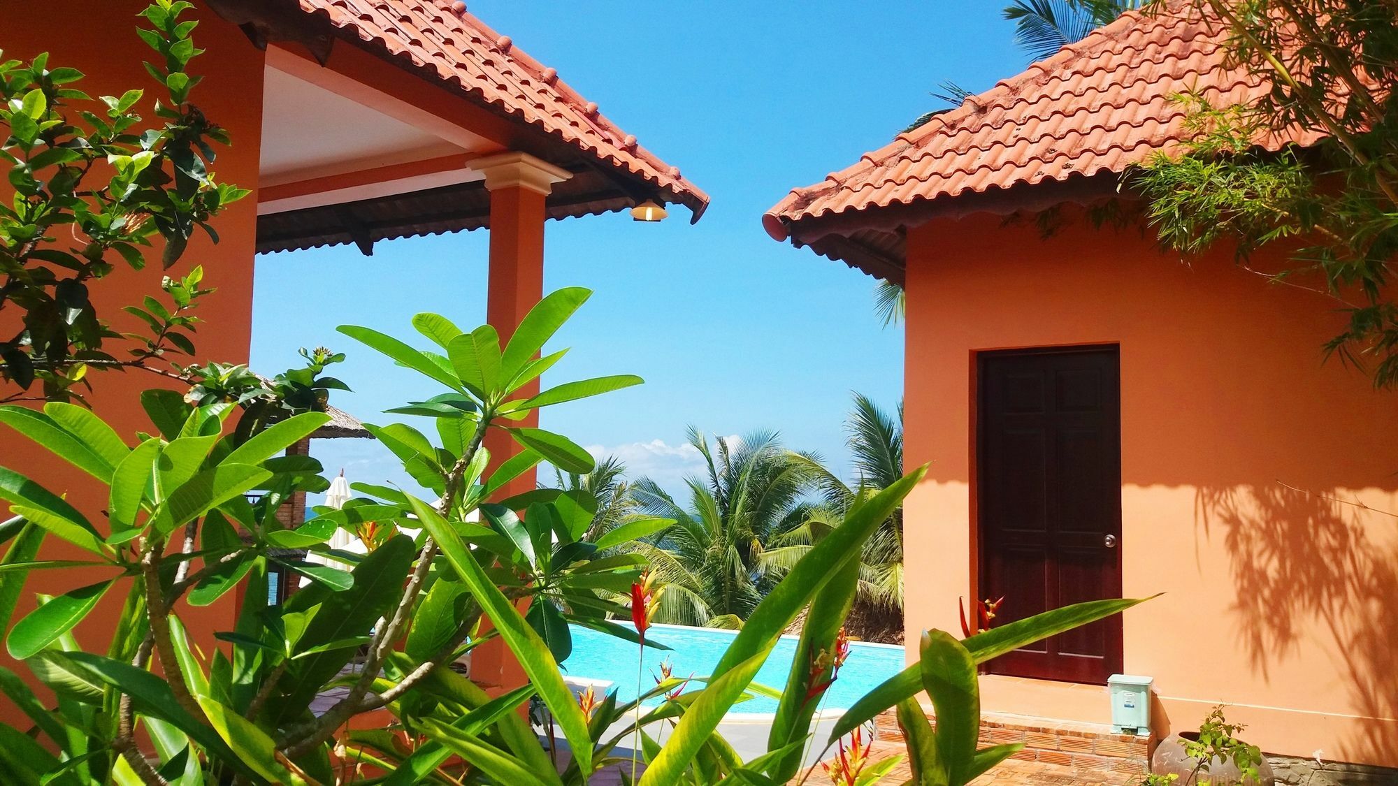 Dưỡng Mai Khách sạn Phú Quốc