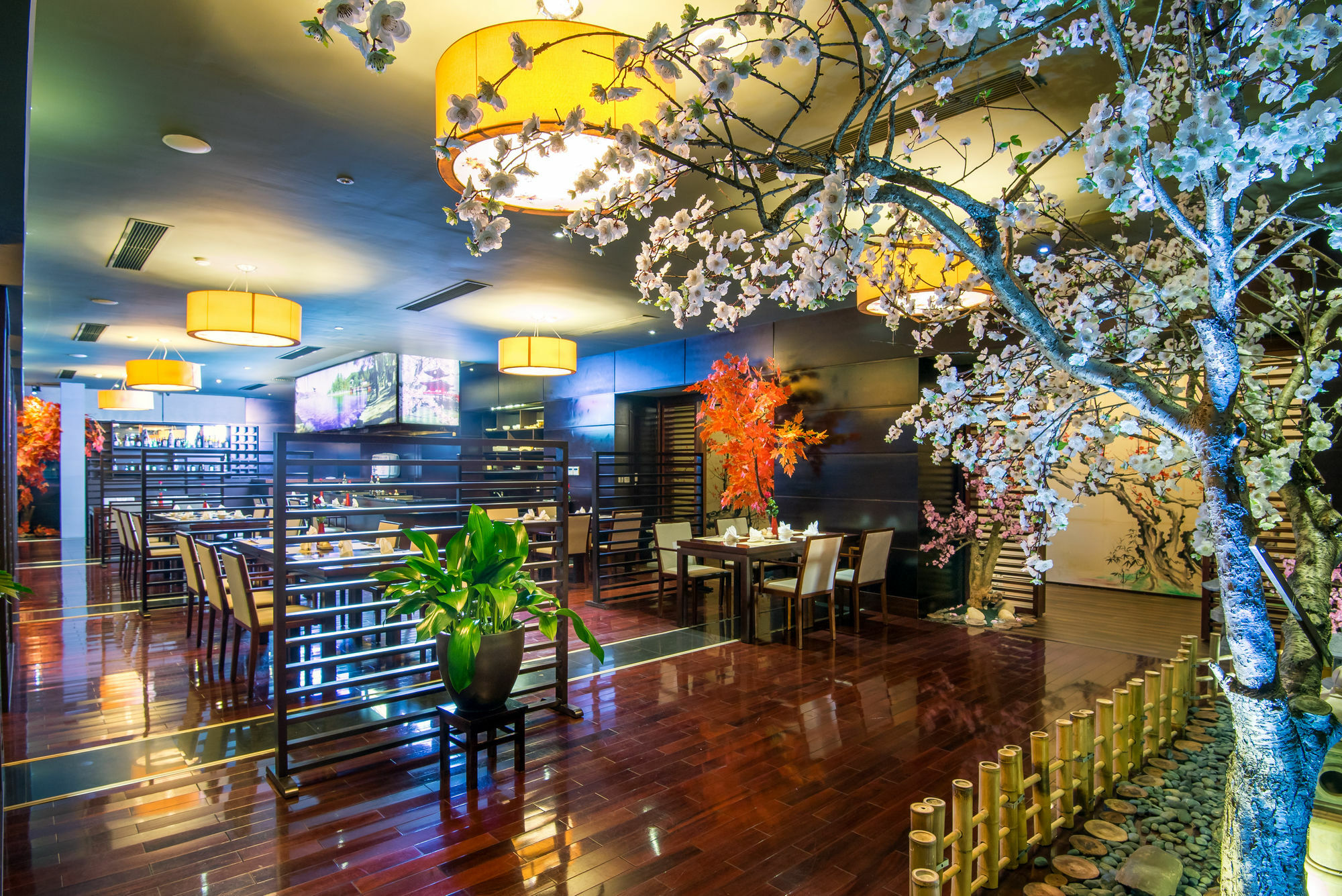 Royal Lotus Ha Long