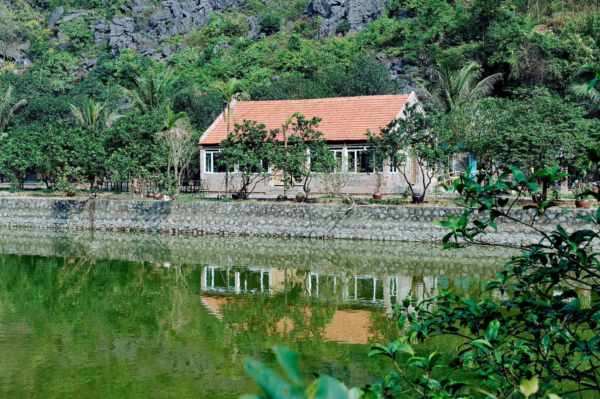 Hotel Buffalo Eco Garden
