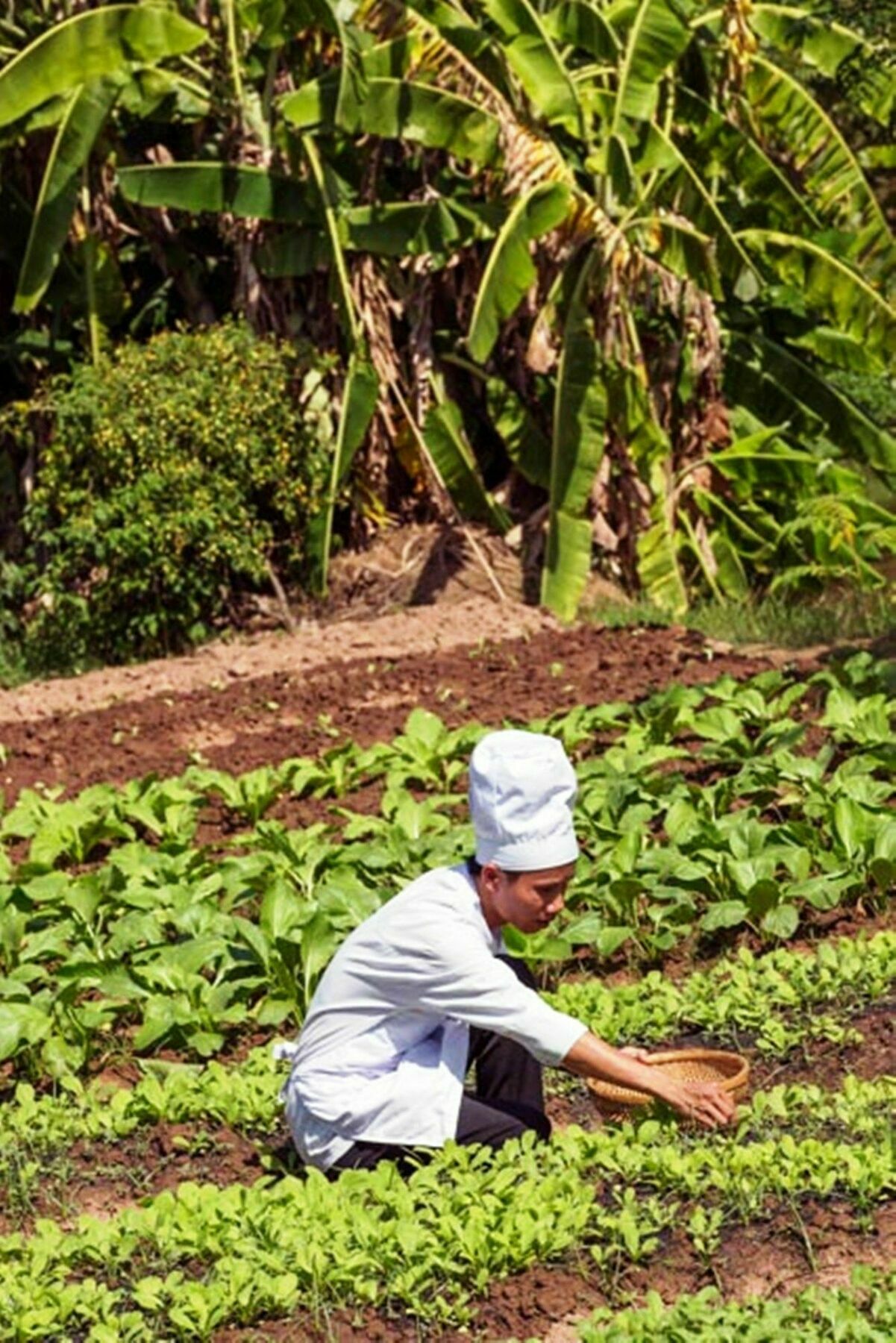 Mekong Riverside Boutique & 4* Cái Bè