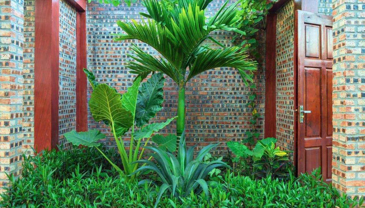 Homestay Bai Dinh Eco *