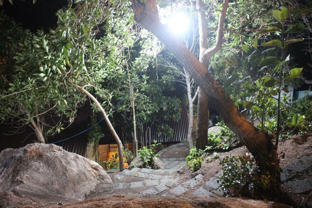 Homestay Thanh Nhi *