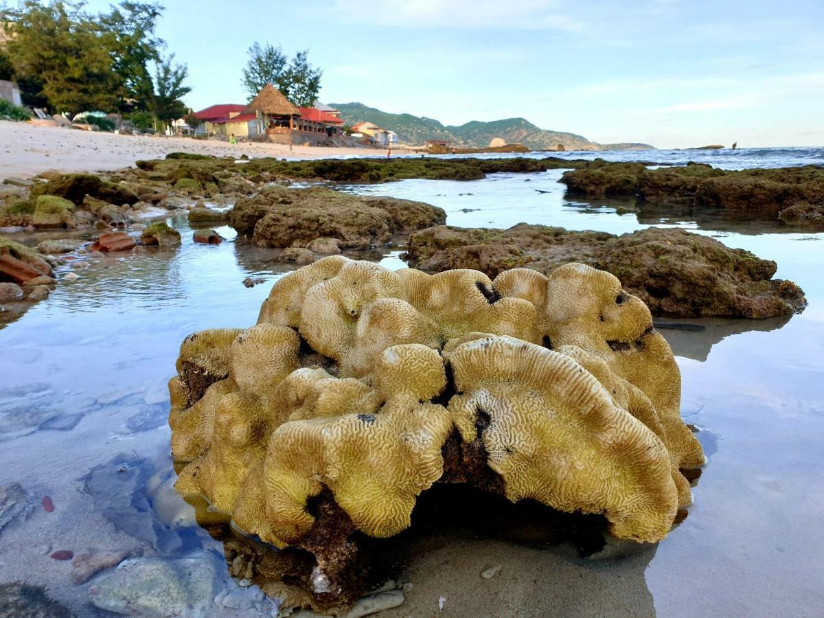 Mui Dinh Phan Rang