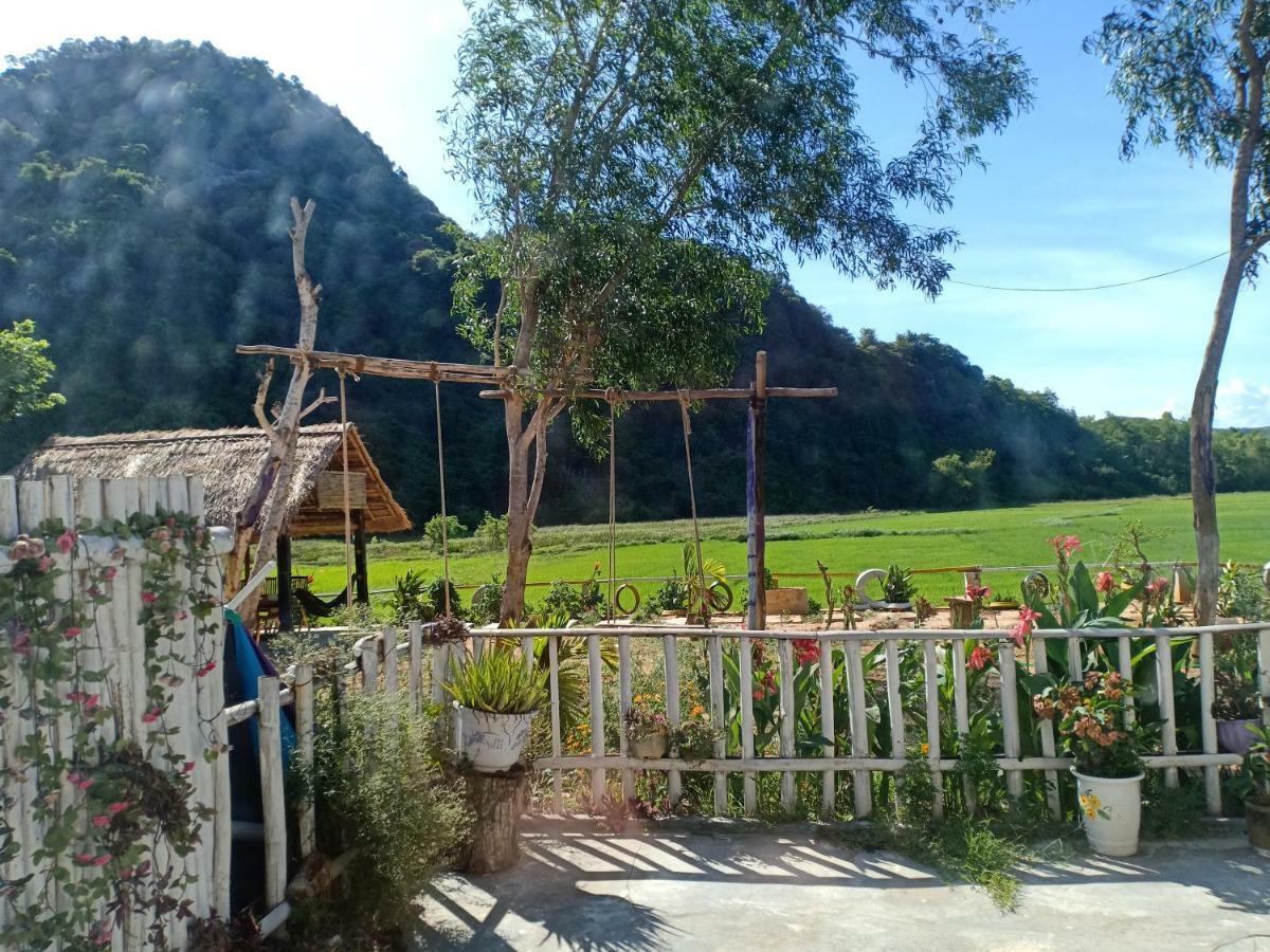 Rice Field * Phong Nha