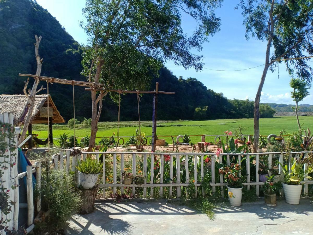 Rice Field Phong Nha