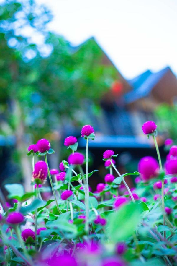 Bolero Aparthotel Phong Nha