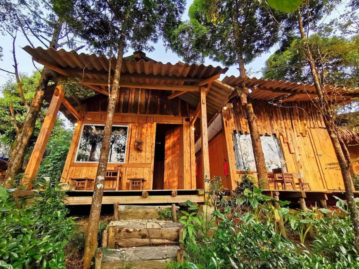 Jungle Ở trọ