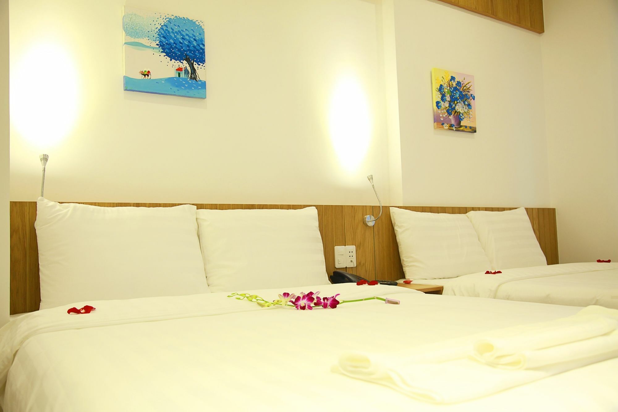 Hotel Meraki 2*
