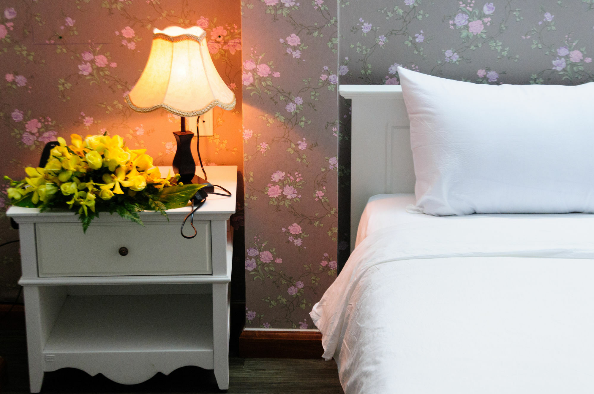 Danang Center Hotel Hotel Da Nang
